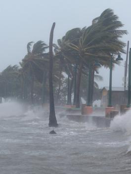 اعصار فلوريدا 