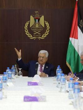التنفيذية وعملية الضم الاسرائيلية 