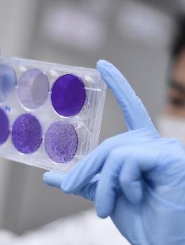 اميركا ولقاح ضد فيروس كورونا 