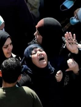 عائلة الزعزوع والجيش المصري 