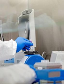 الجالية الفلسطينية في اميركا وفيروس كورونا 