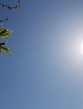 حالة الطقس في فلسطين 