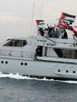 زيتونة