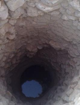 image (2)