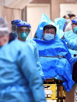 الجالية الفلسطينية وكورونا 