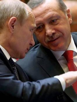 a366dc9d-c271-488e-8233-96a58719d8d4_16x9_600x338