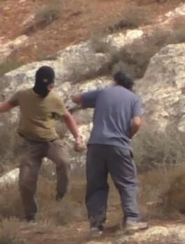 مستوطنون بحماية من جنود الاحتلال يعتدون على متضامين أجانب جنوب الخليل