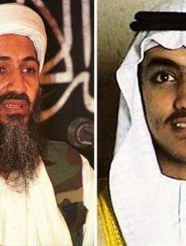مصير حمزة بن لادن 