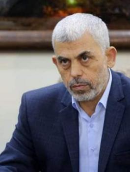 61282282_419305995465674_8104628554844602368_n