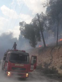 حالة الطقس في فلسطين 