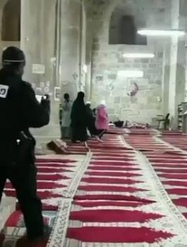 972889b34406be4579376c5e8a29b608