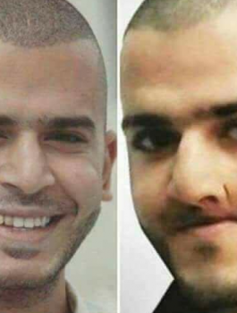 عائلة الاسير عزمي نفاع 