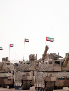 الامارات والحوثيين 