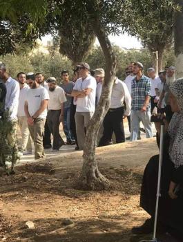 اقتحامات المستوطنين للمسجد الاقصى 