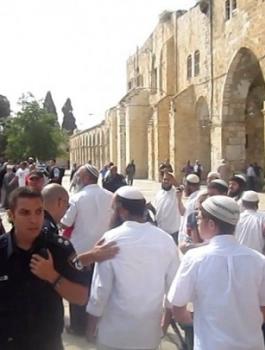 المستوطنون يقتحمون الاقصى