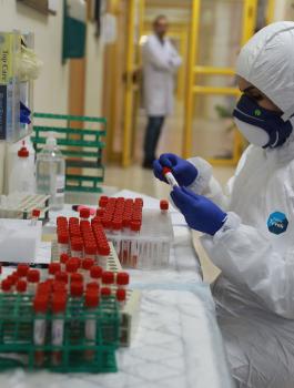 اصابات بفيروس كورونا في الخليل 