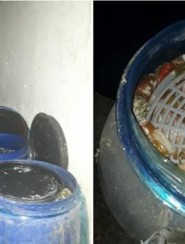 اتلاف مواد فاسدة في الخليل 