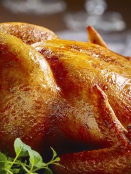 فوائد الدجاج 