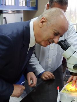 افتتاح مشاريع في جنين 