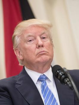 فلسطين وترامب 