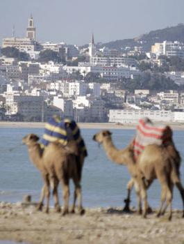الاستثمار في المغرب 