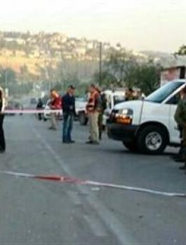 10154061_947672085307232_7425821781855281575_n