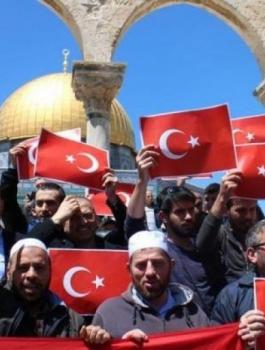 2018-07-08_1439_00032