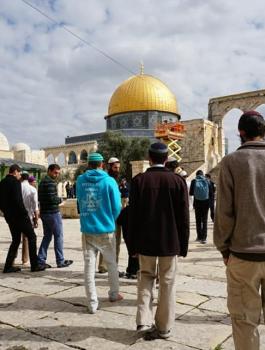 اقتحامات المستوطنين للمسجد الاقصى 