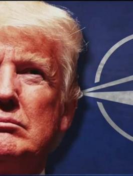 ترامب: أنا قادر على سحب الولايات المتحدة من حلف الناتو بدون موافقة الكونجرس