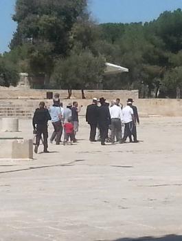 المستوطنون يقتحمون المسجد الأقصى 