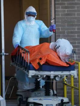 وفيات اميركا في اميركا 