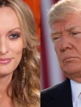 ممثلة اباحية وترامب 