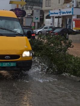 منخفضات جوية في فلسطين 