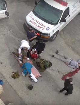 الشهداء الفلسطينيين في غزة والضفة الغربية 