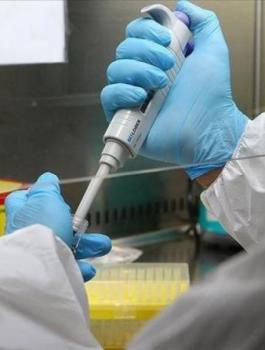 05118725626680467363357805208272