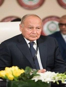 أبو الغيط 