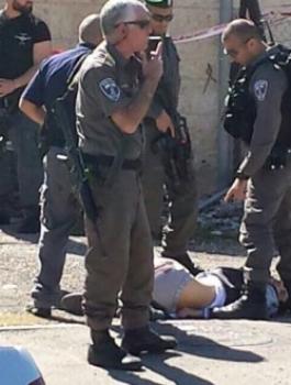 11019211_935693693137828_2720281915895890982_n-660x330