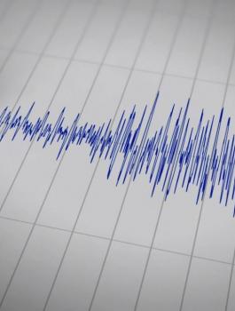 هزة ارضية في فلسطين 