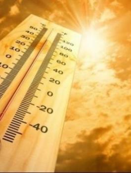 394839106612228505664