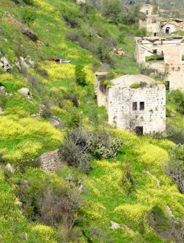 جهود متواصلة لنشر نتائج مسح قرية لفتا المهجرة  لمنع بناء المستوطنين على أنقاذها