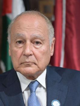 ابو الغيط وليبيا 