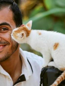 ياسر مرتجى 