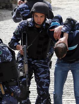 القبض على سيدة وخمسة أشخاص  في الخليل ارتكبوا جرائم سلب وسرقة 