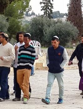 1509787_657544007700229_8056864668760701934_n