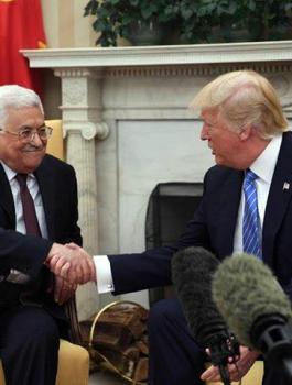 لقاء عباس ترامب 