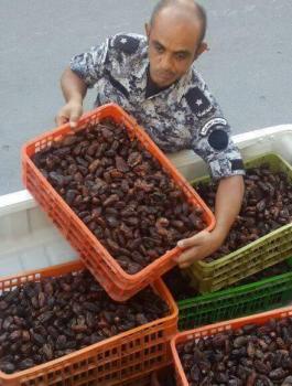 13443224_473734589497320_4777409086711740265_o