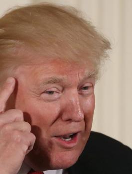 ترامب يطرح "فكرة لم يسمع بها أحد".. جدار شمسي مع المكسيك