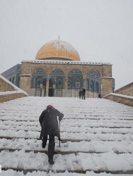 الثلوج في فلسطين 
