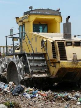 مكب زهرة الفنجان 