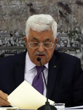 الانتخابات المحلية 